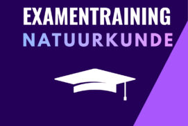 Examentraining Natuurkunde VWO (2-daags)